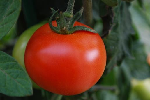 想要胸部健康就要學會吃 它們可是胸部最愛的食物