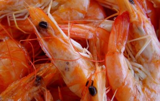 蝦營養豐富且肉質鮮美 挑選新鮮好蝦的竅門
