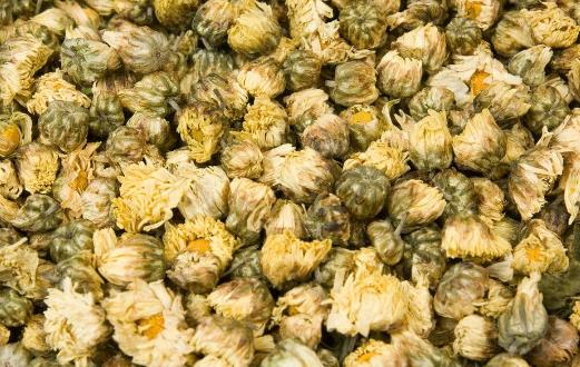 不同類菊花效用不同 分享菊花的小知識(shí)