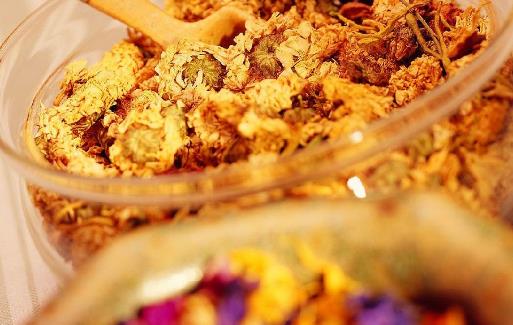 不同類菊花效用不同 分享菊花的小知識(shí)