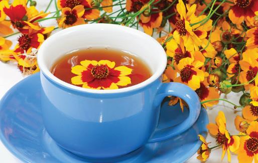 不同類菊花效用不同 分享菊花的小知識(shí)