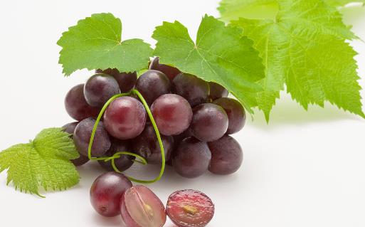 葡萄長時間保存有訣竅