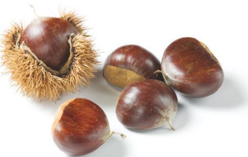 栗子快速去皮的方法 教你快速剝殼法