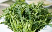 將炒青菜改為水煮青菜 烹調蔬菜也有小技巧