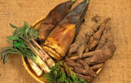 美味清甜好吃的竹筍 水煮竹筍甘甜不苦的小訣竅