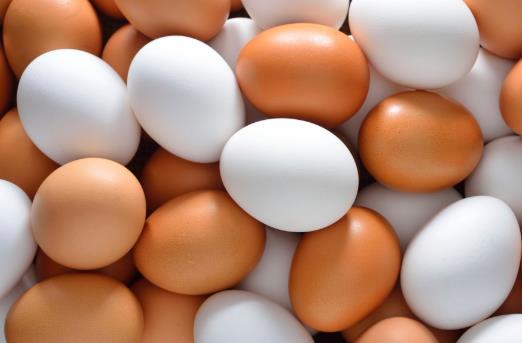 挑選新鮮雞蛋，主要看這四個方面~