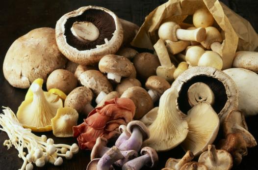 20個保存食物的小妙招，保證讓你受用無窮！