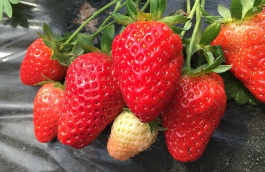 20個保存食物的小妙招，保證讓你受用無窮！