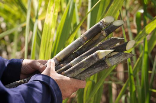 春季眼睛癢應該吃這些蔬菜