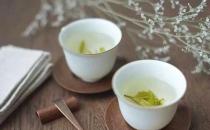 ?泡杯好茶學問多 保溫杯泡茶不可取