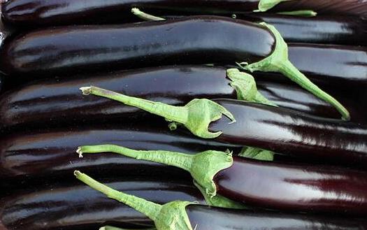 茄子不但營養好 其果實茄蒂和茄子根都可藥用