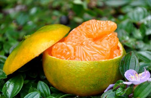 這些因素可能導致牙齒出血