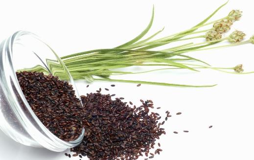 車前草的功效多 車前子的食用治療方