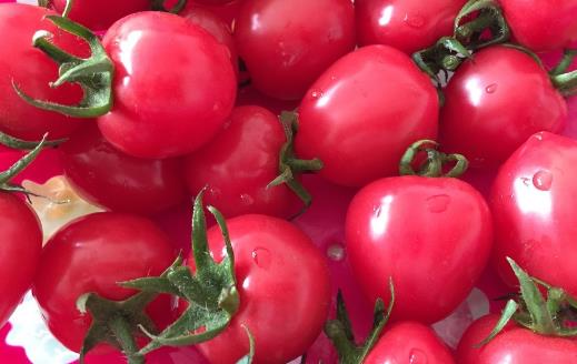 圣女果的營養價值與功效