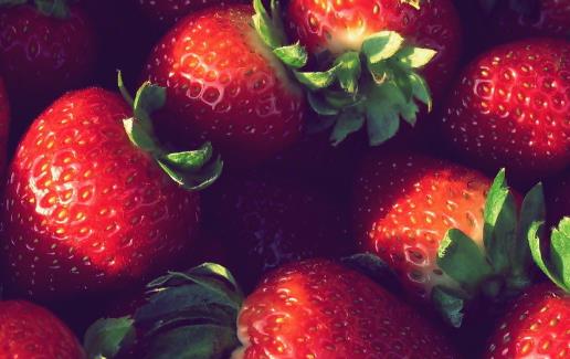 獲取營養素提高免疫力，有效對抗流感！