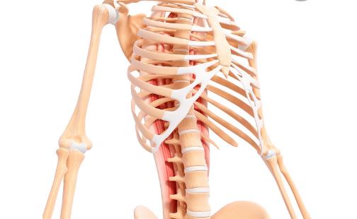 引起胸骨疼痛的疾病 胸骨后疼痛護(hù)理