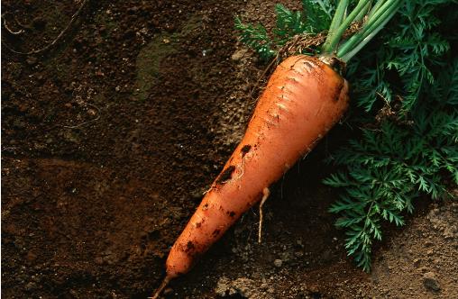 女人臉色發白要這樣調理才正確