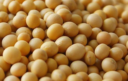 身體不舒服8個(gè)信號要注意 身體乏力無精神調(diào)理食補(bǔ)