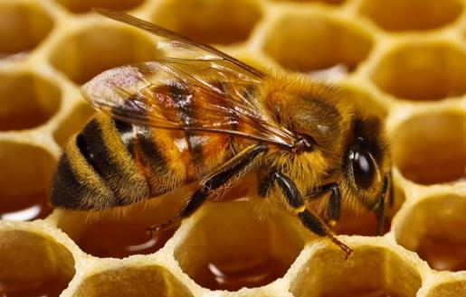 身體不舒服8個(gè)信號要注意 身體乏力無精神調(diào)理食補(bǔ)