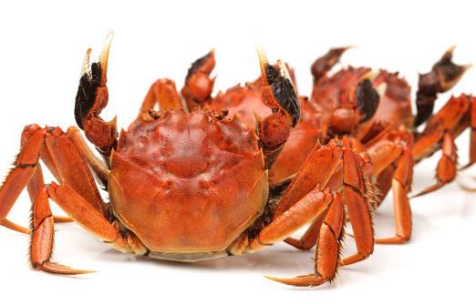 吃螃蟹時候要注意的“六不” 螃蟹不能吃的部位
