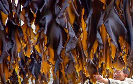 不要誤會食物上的白霜 不是農藥殘留哦