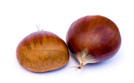 板栗是生吃還是熟吃好，有何禁忌？