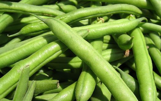 食材養(yǎng)生但也可能傷身 廚房里的10大有毒食物