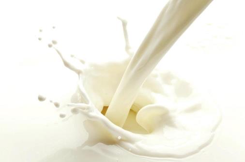 乳制品真的健康嗎?