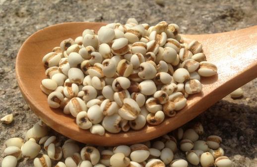 防濕氣記住少吃寒涼 濕氣最怕5物