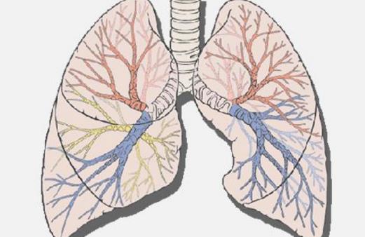 長壽還是短命來看這9大特征 有3個以上多半是長命人