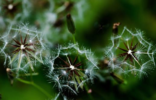 養肝排毒,肝癌繞路跑!