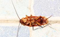 ?潛藏致癌風險的日常生活用品 買類似用品要看成分