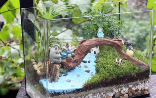 苔蘚微景觀該如何養護