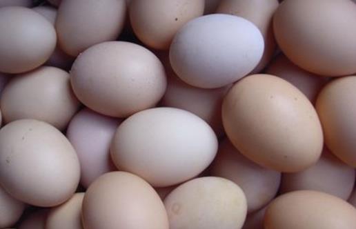 土雞蛋更有營養嗎？未必！