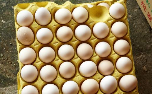 土雞蛋更有營養嗎？未必！