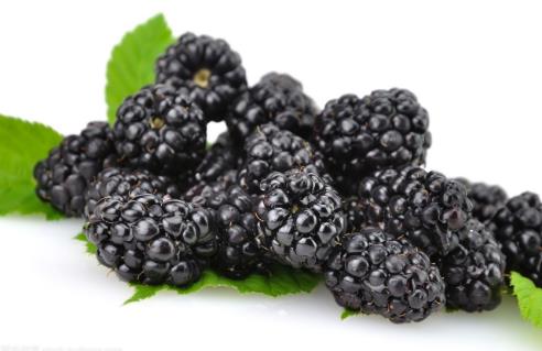 桑葚為什么那么黑 桑葚有花青素嗎
