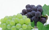 水果營養高 盤點清熱解毒有營養的水果