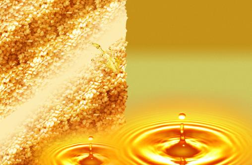 使用食用油有講究 鑒別食用油優劣的方法