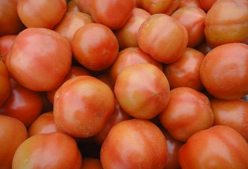 能抗氧化的西紅柿,應該生吃?熟吃?空腹吃?減肥吃它有