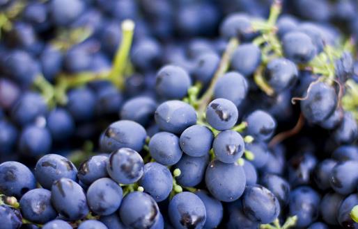 水果中的溶栓之王，顏色越深越好！不知道這三點就白吃了 