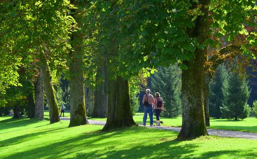 不適合高血壓患者的動作 高血壓自我調(diào)理運動方