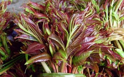 春天養(yǎng)生宜注重升陽疏肝和醒脾 香字輩食物來滿足