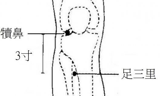 春天養(yǎng)生宜注重升陽疏肝和醒脾 香字輩食物來滿足