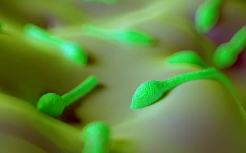 什么是破傷風?為什么破傷風會致命?