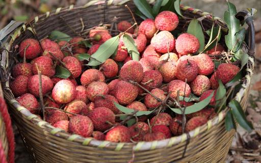 經(jīng)常胃痛怎么辦?飲食需注意3點(diǎn)