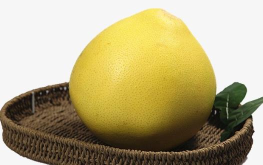 柚子營養價值及食用禁忌 挑柚子的方法