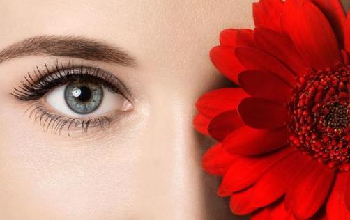 身體器官有哪些弱點？一一揭秘6大器官的弱點