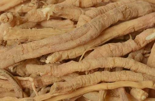 春困秋乏夏打盹有什么科學(xué)依據(jù)