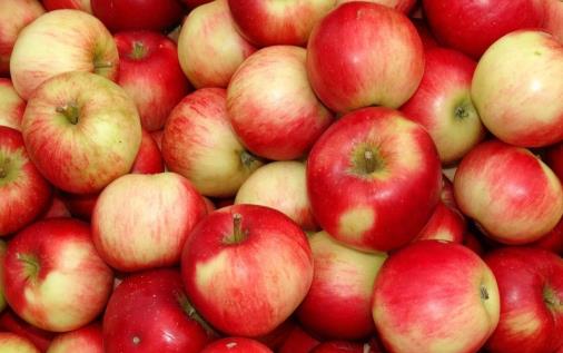 啃蘋果這事兒太OUT了 解鎖蘋果美味營養(yǎng)新吃法