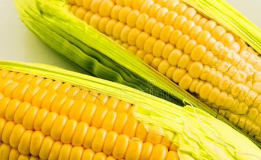 記憶力受各種因素的影響 能提高記憶力的方法